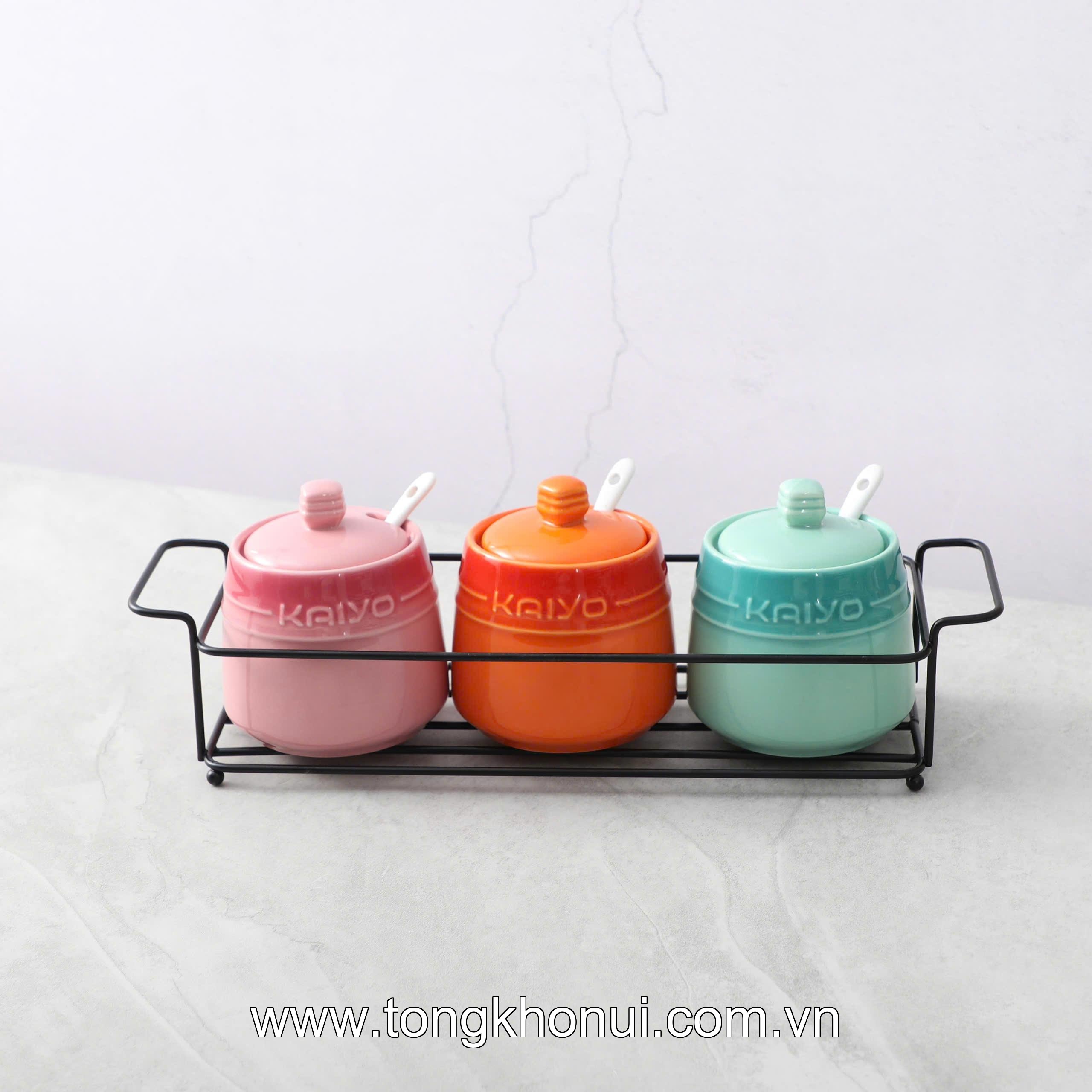 Set 3 hũ gốm sứ đựng gia vị Rainbow Kaiyo, dung tích 300ml KCC-5141 ảnh 1