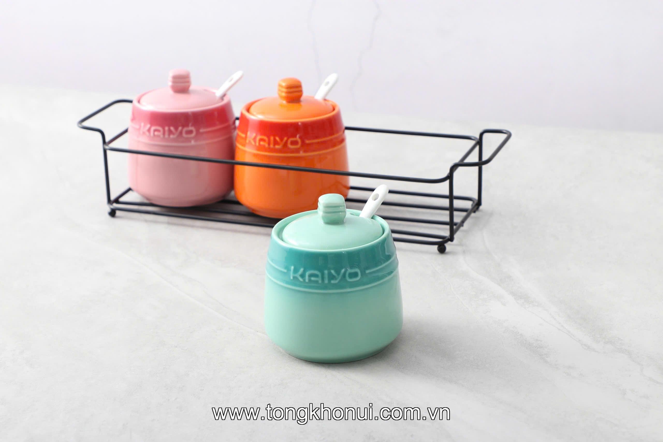 Set 3 hũ gốm sứ đựng gia vị Rainbow Kaiyo, dung tích 300ml KCC-5141 ảnh 2