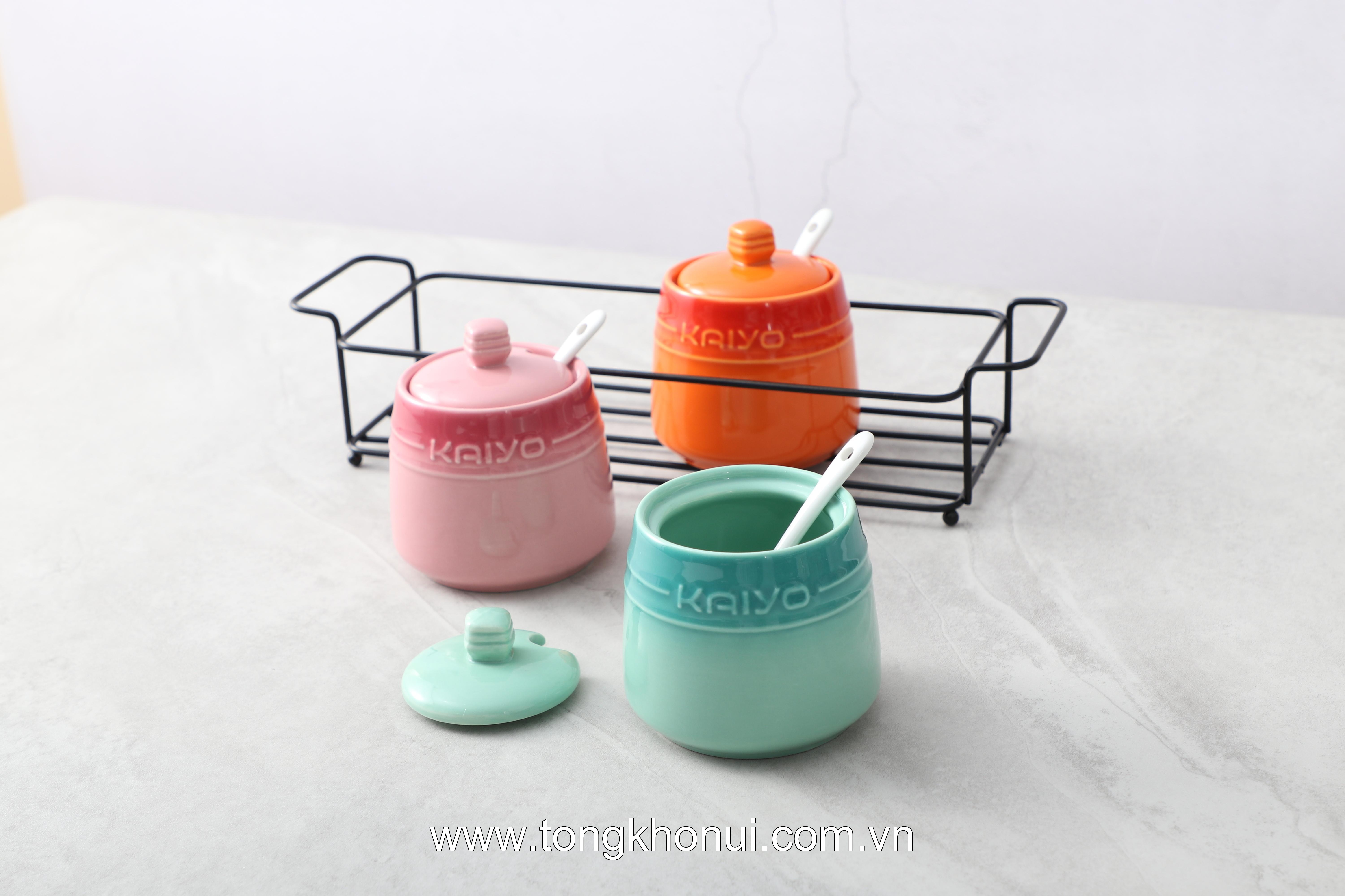 Set 3 hũ gốm sứ đựng gia vị Rainbow Kaiyo, dung tích 300ml KCC-5141 ảnh 4