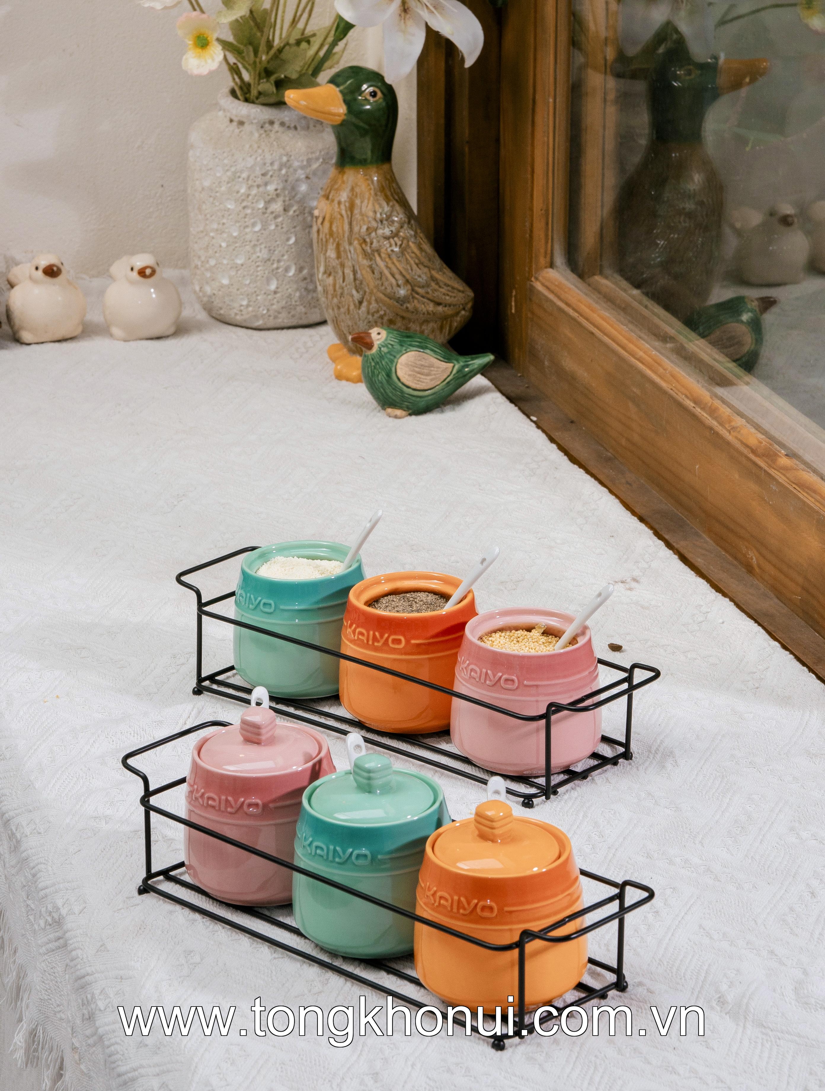 Set 3 hũ gốm sứ đựng gia vị Rainbow Kaiyo, dung tích 300ml KCC-5141 ảnh 5