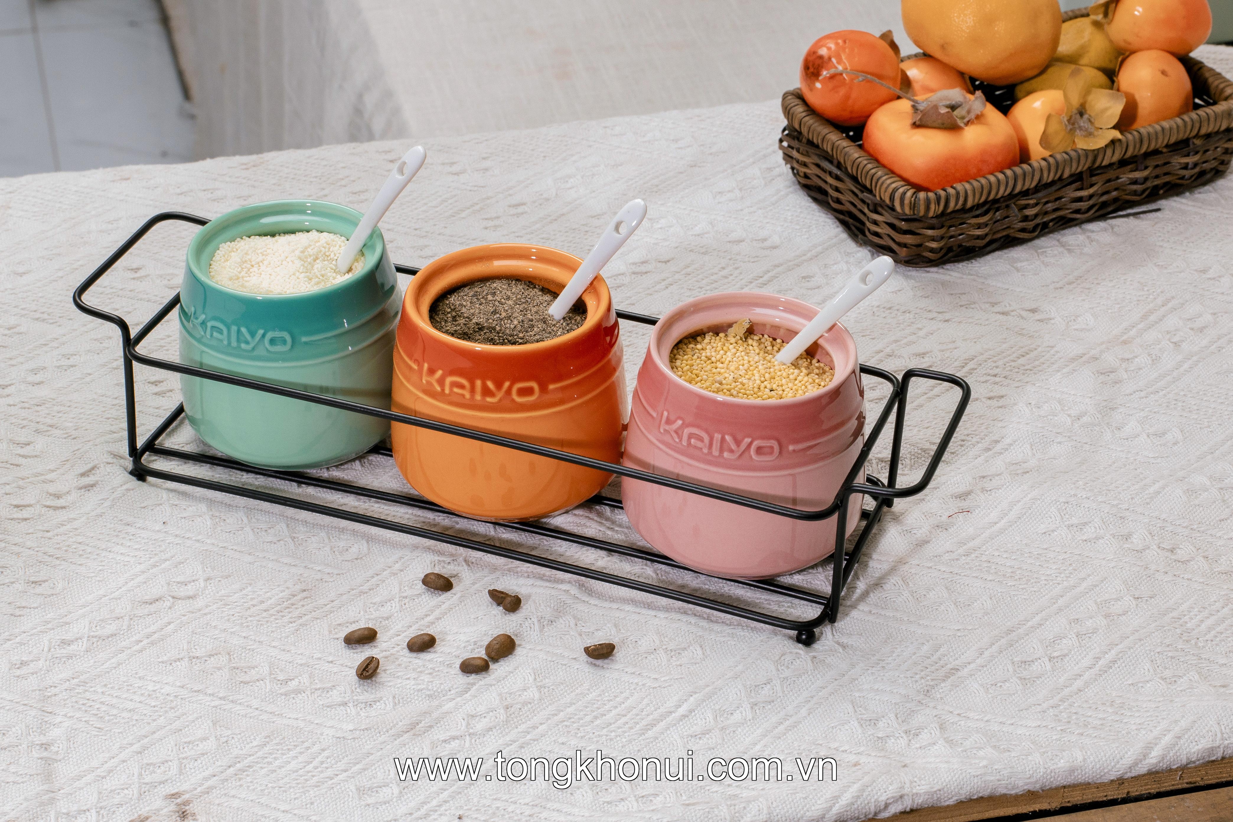 Set 3 hũ gốm sứ đựng gia vị Rainbow Kaiyo, dung tích 300ml KCC-5141 ảnh 6