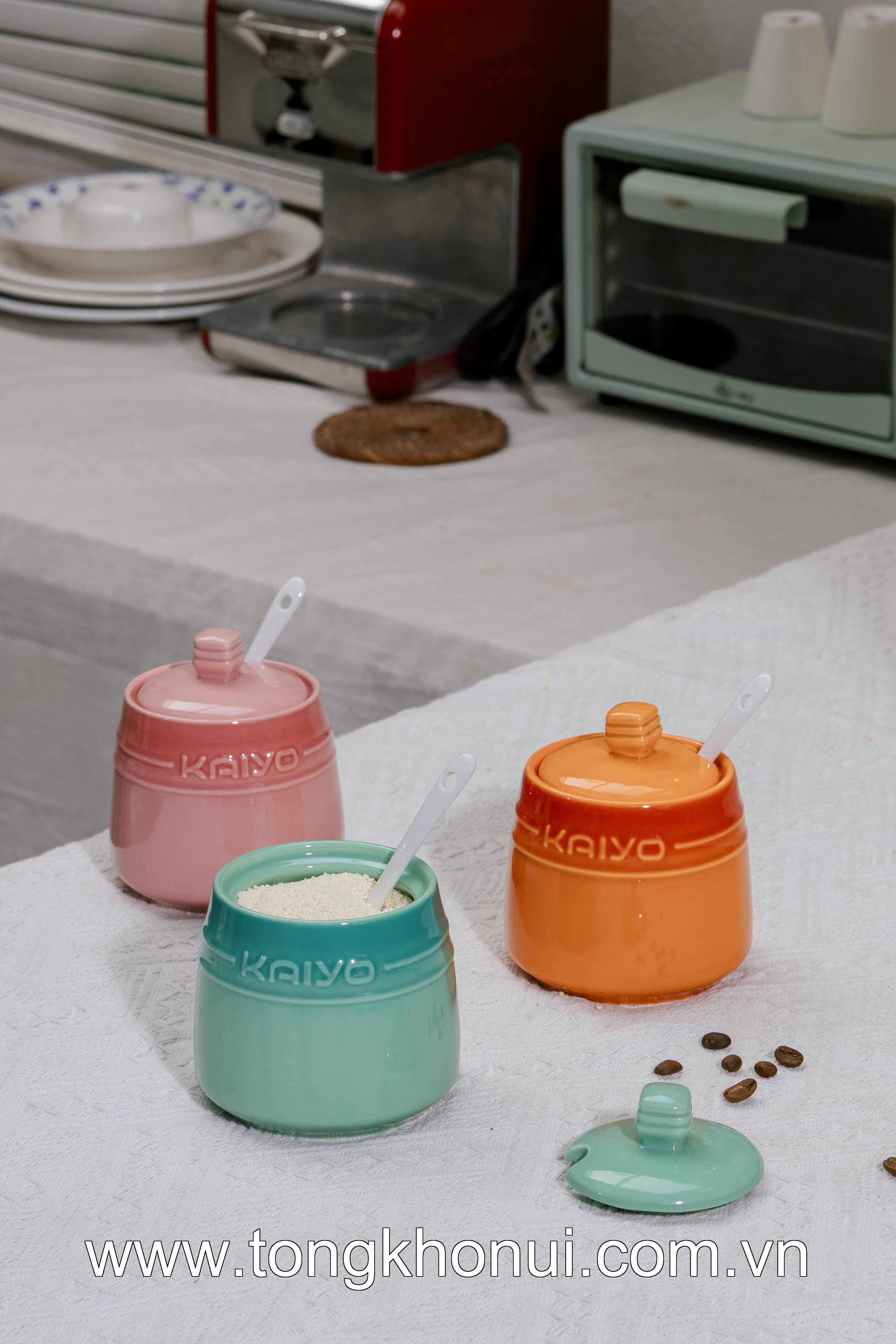 Set 3 hũ gốm sứ đựng gia vị Rainbow Kaiyo, dung tích 300ml KCC-5141 ảnh 8