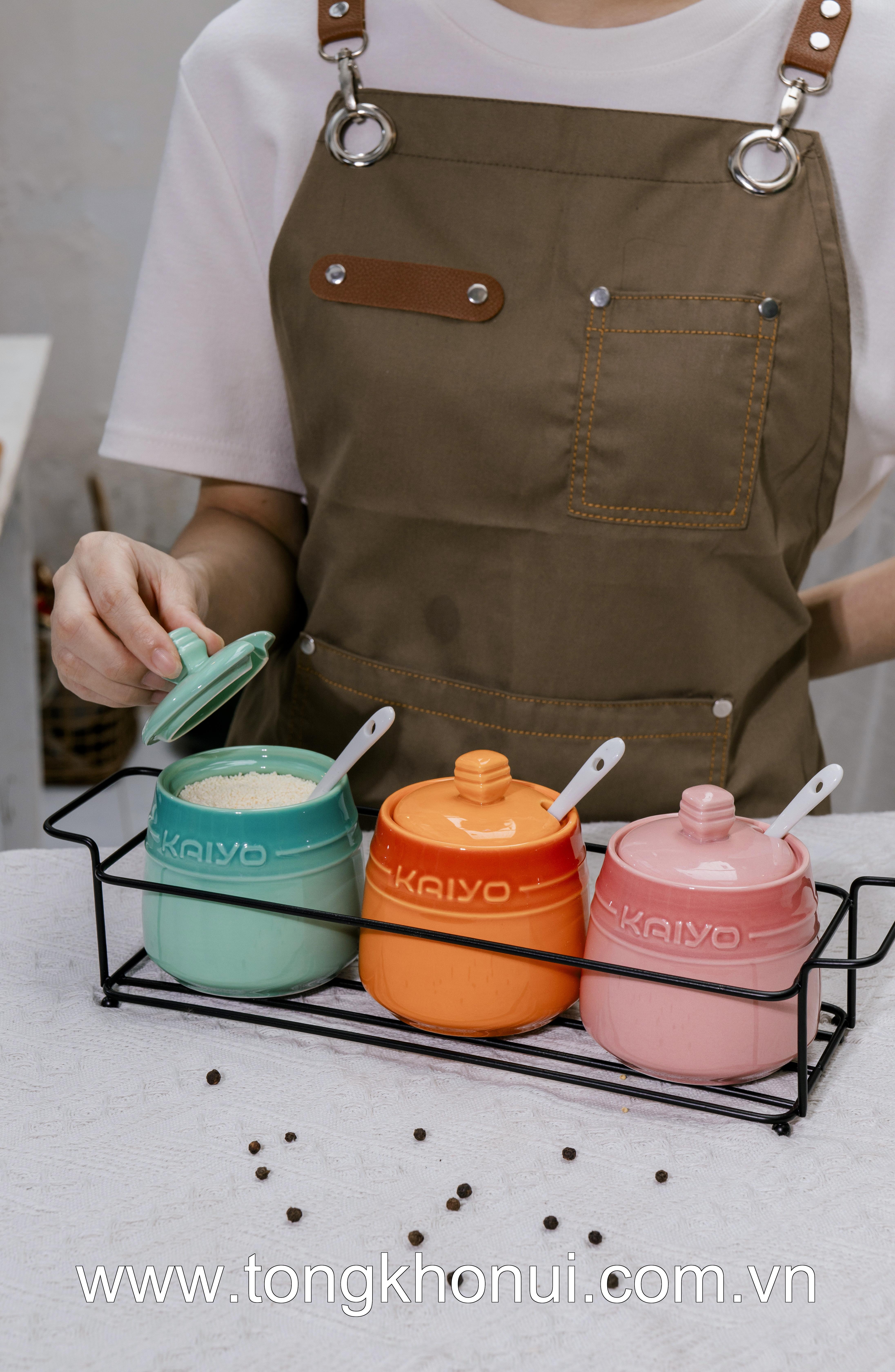 Set 3 hũ gốm sứ đựng gia vị Rainbow Kaiyo, dung tích 300ml KCC-5141 ảnh 12