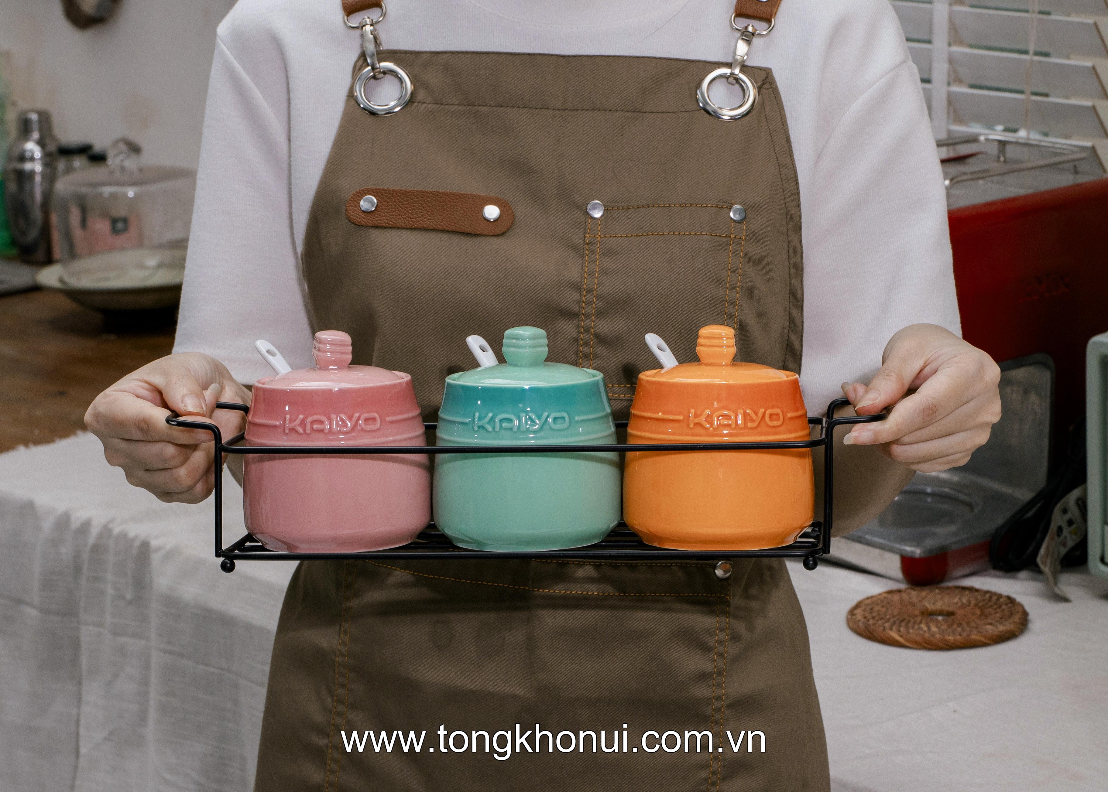 Set 3 hũ gốm sứ đựng gia vị Rainbow Kaiyo, dung tích 300ml KCC-5141 ảnh 14