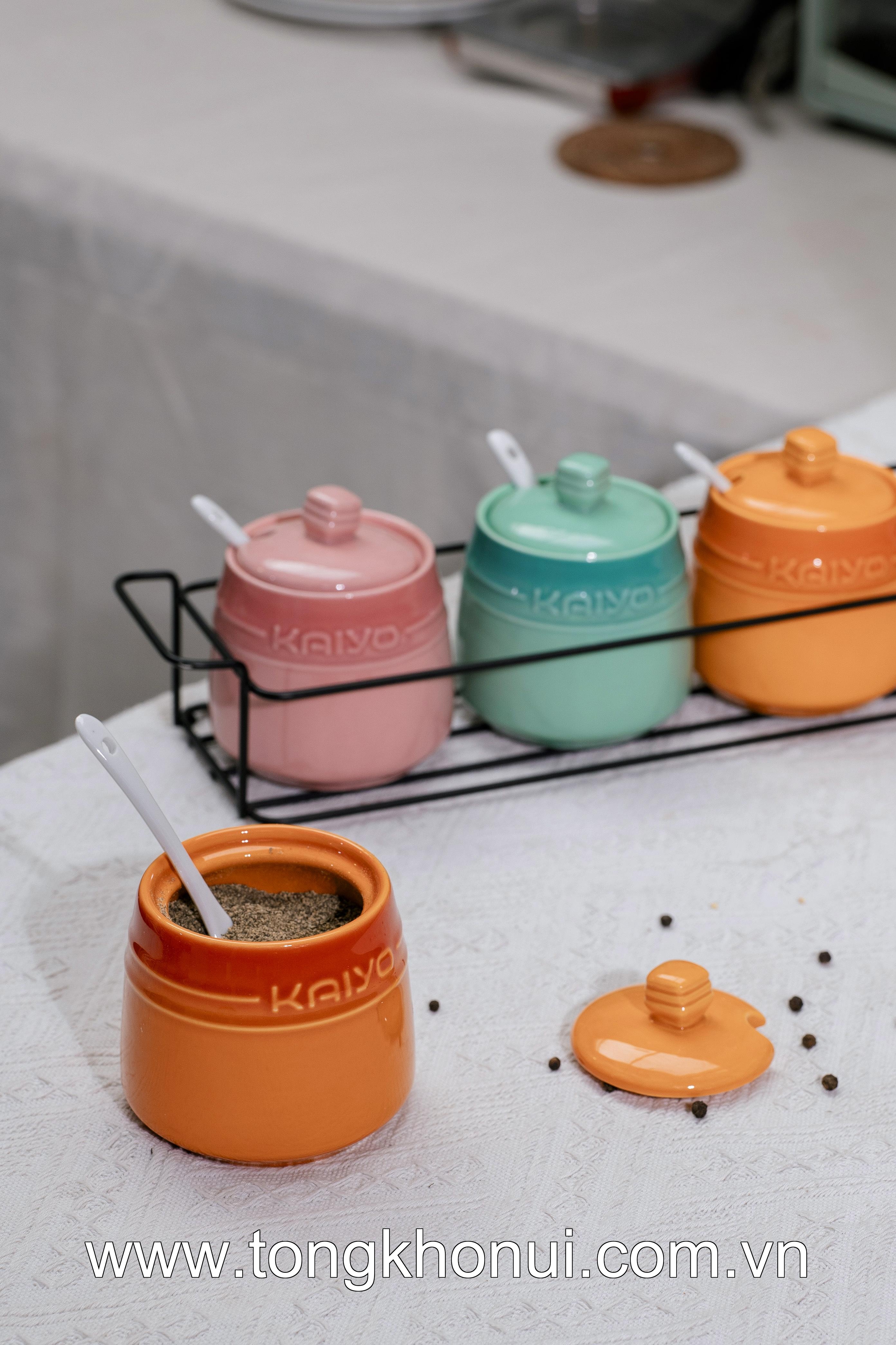 Set 3 hũ gốm sứ đựng gia vị Rainbow Kaiyo, dung tích 300ml KCC-5141 ảnh 15