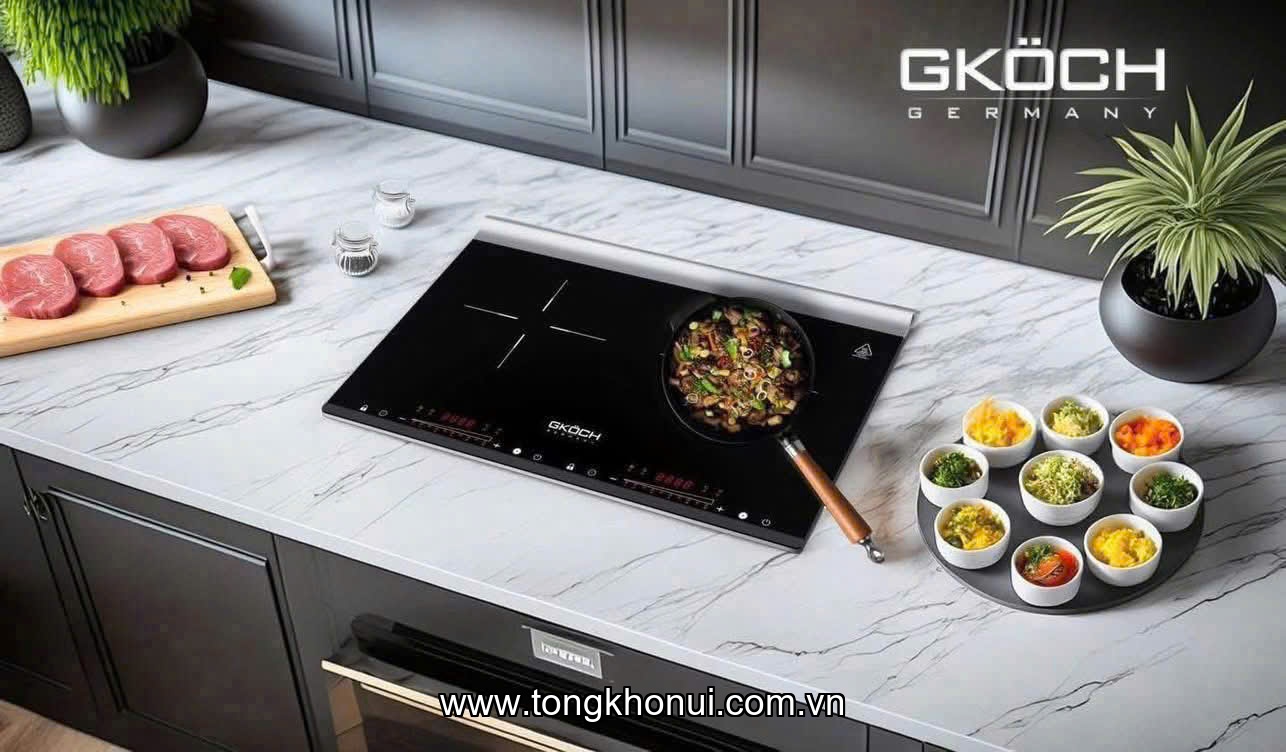 Bếp điện từ 2 vùng nấu Gkoch model BI-34A12 ảnh 1