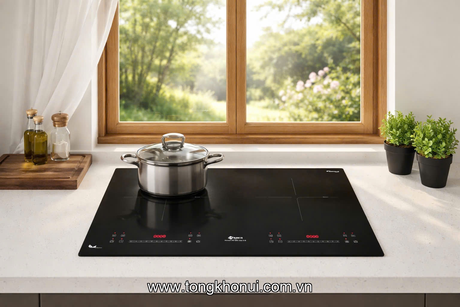 Bếp từ đôi Arber AB-995 Seri 9.0 ảnh 6