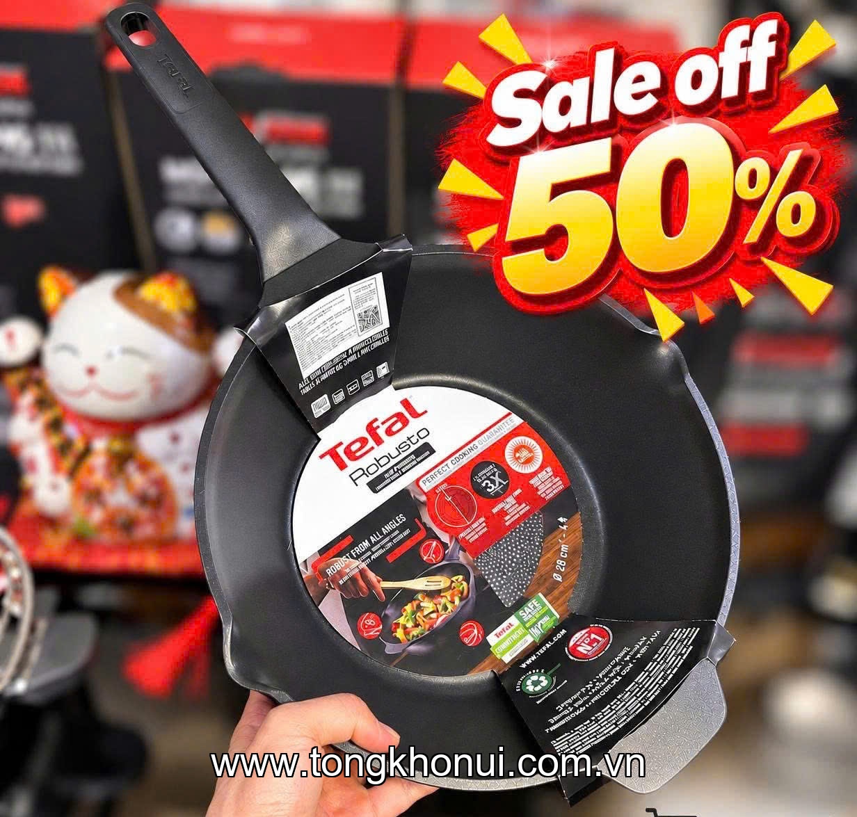 Chảo đúc cao cấp Tefal Robusto có miệng rót 24cm ảnh 1