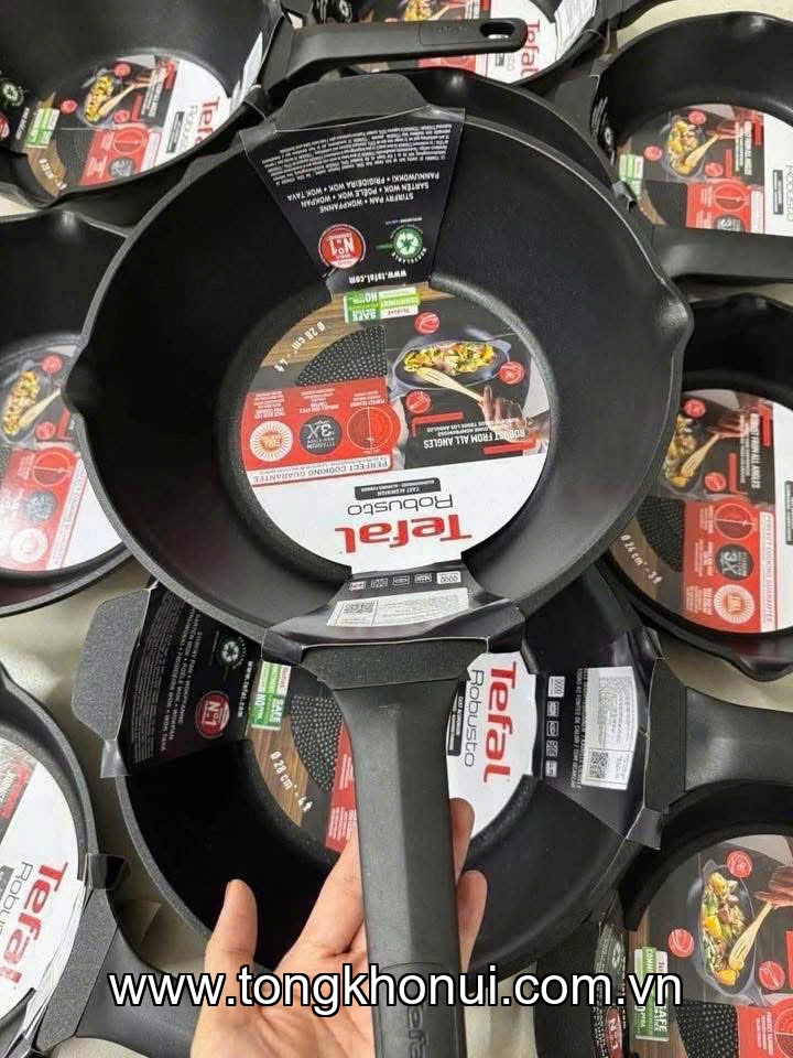 Chảo đúc cao cấp Tefal Robusto có miệng rót  24cm ảnh 6